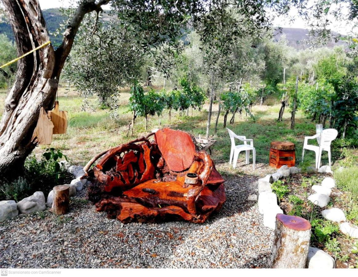 לינה וארוחת בוקר Auletta L'Oasi מראה חיצוני תמונה